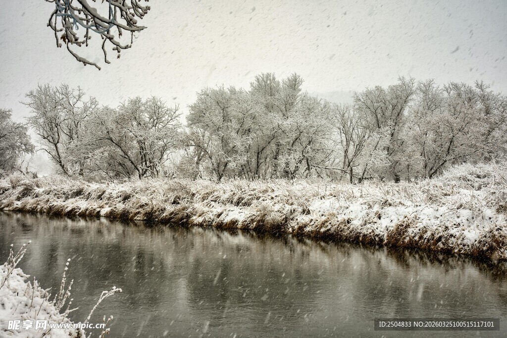 冬日河岸雪景