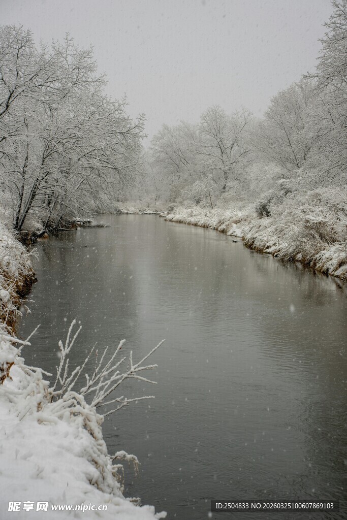冬日雪覆河流静谧景象