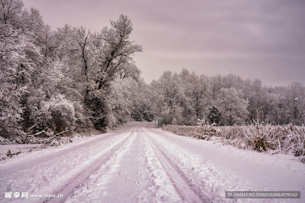 冬日雪覆之路的静谧景象