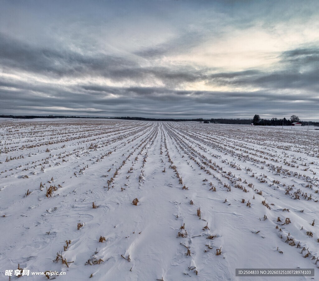 冬日雪覆农田景观