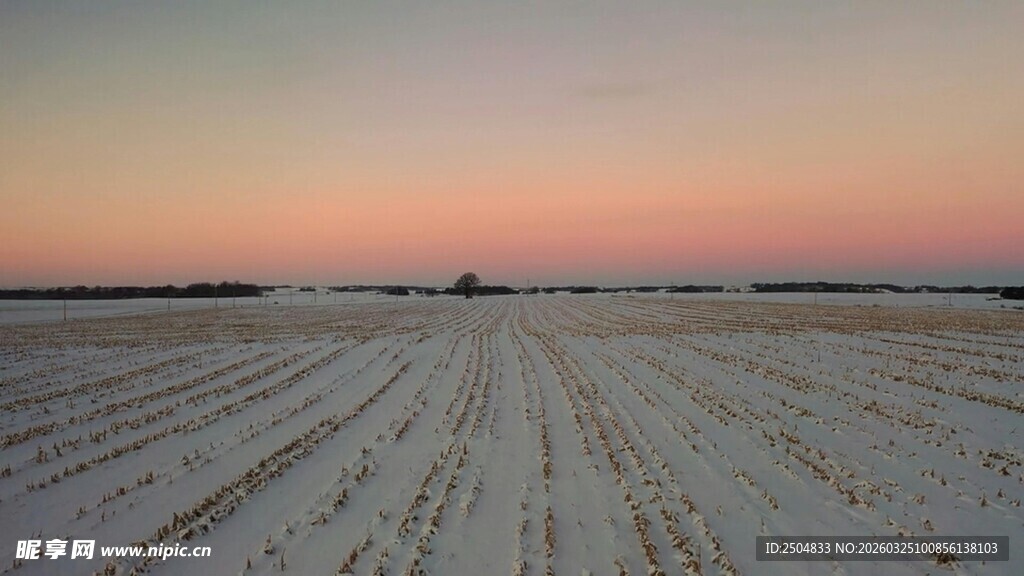 雪后田野的黄昏美景