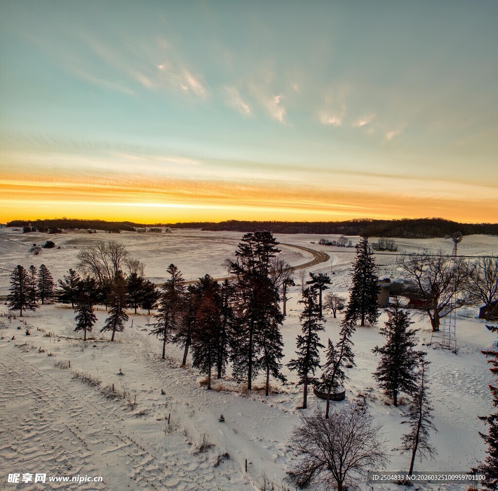 冬日雪林的绚烂黄昏
