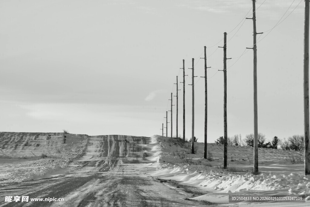 空旷田野中的电线杆队列