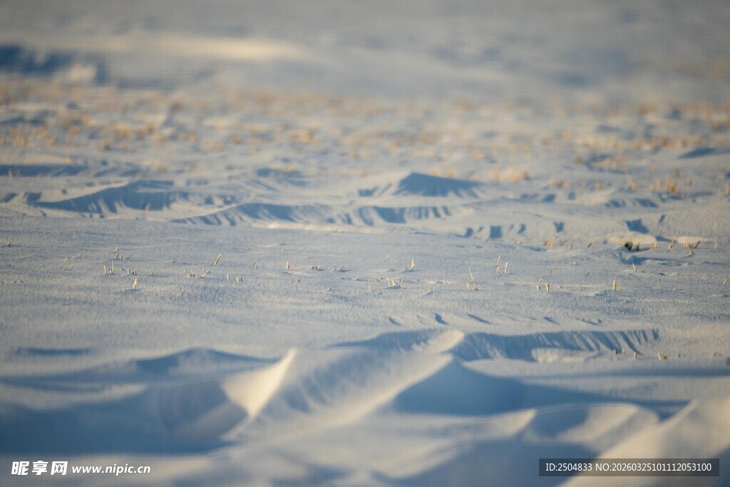 雪地纹理特写