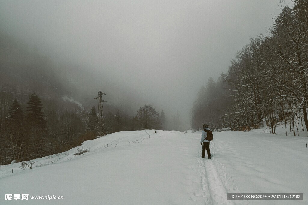 雾中雪地单人滑雪景象
