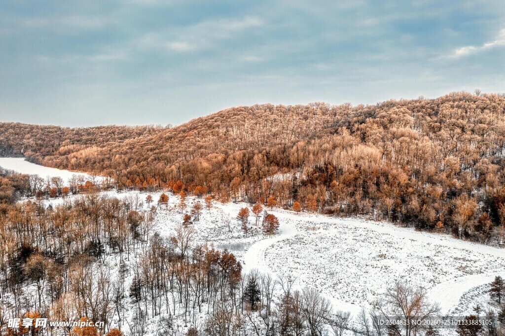 冬日雪覆山林美景