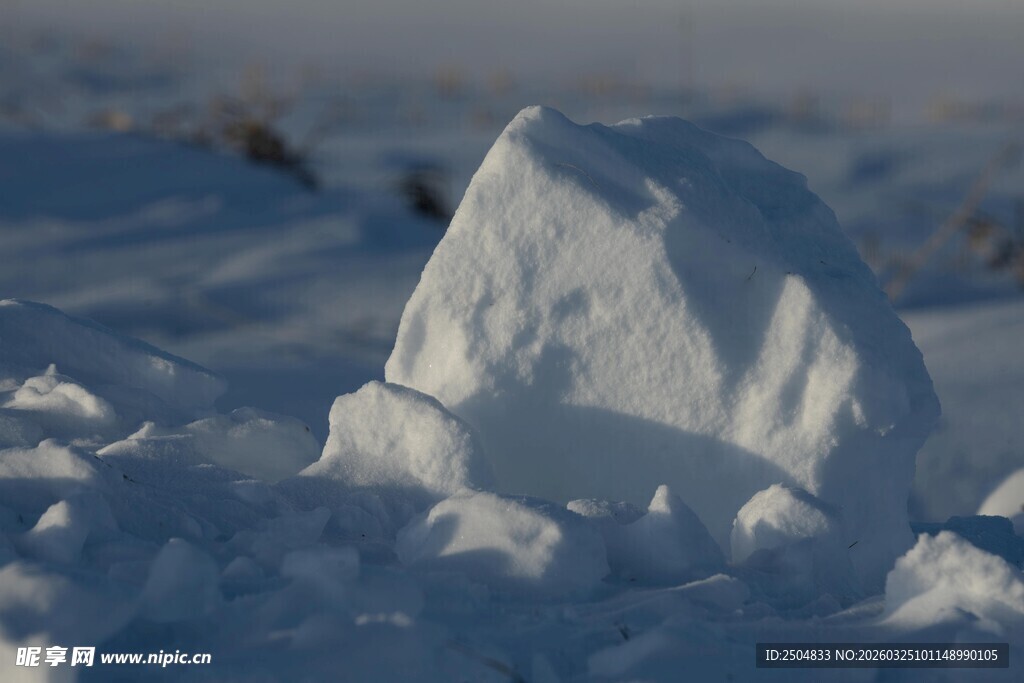 雪堆中的独特雪块