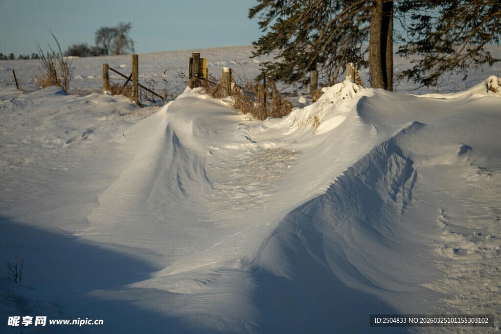 冬日雪景中的雪堆景观