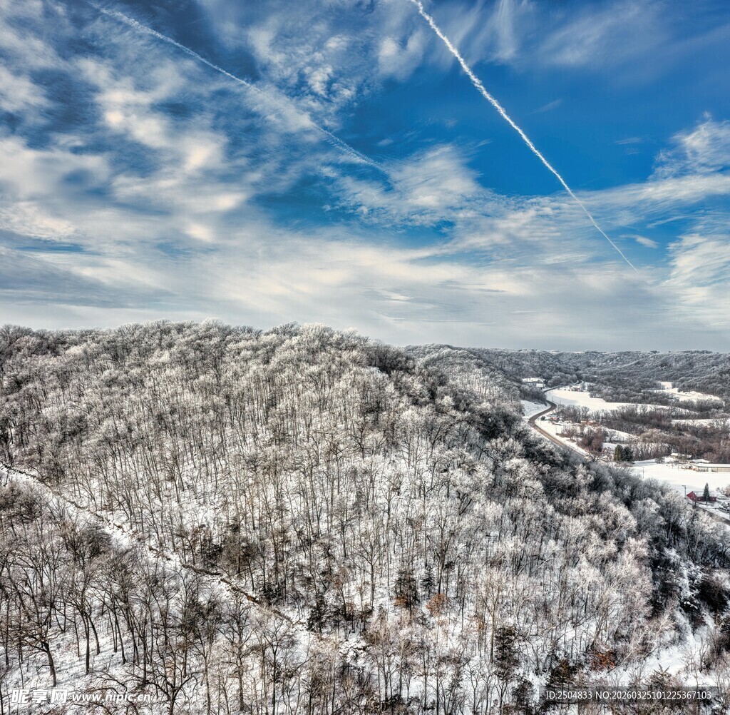 冬日雪覆山林美景