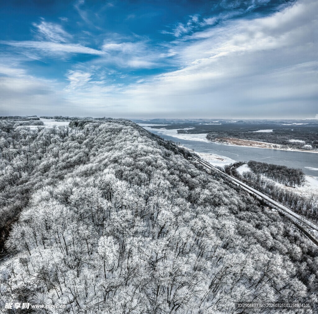 冬日雪景下的广袤森林景观