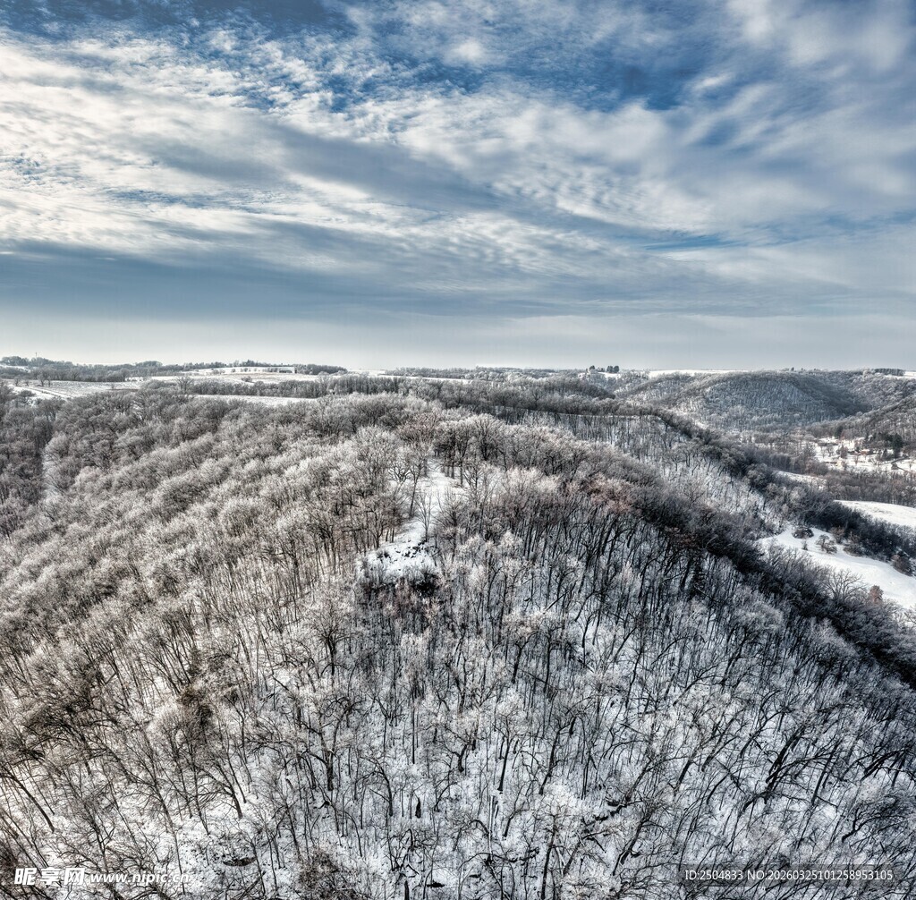 冬日雪覆山林美景