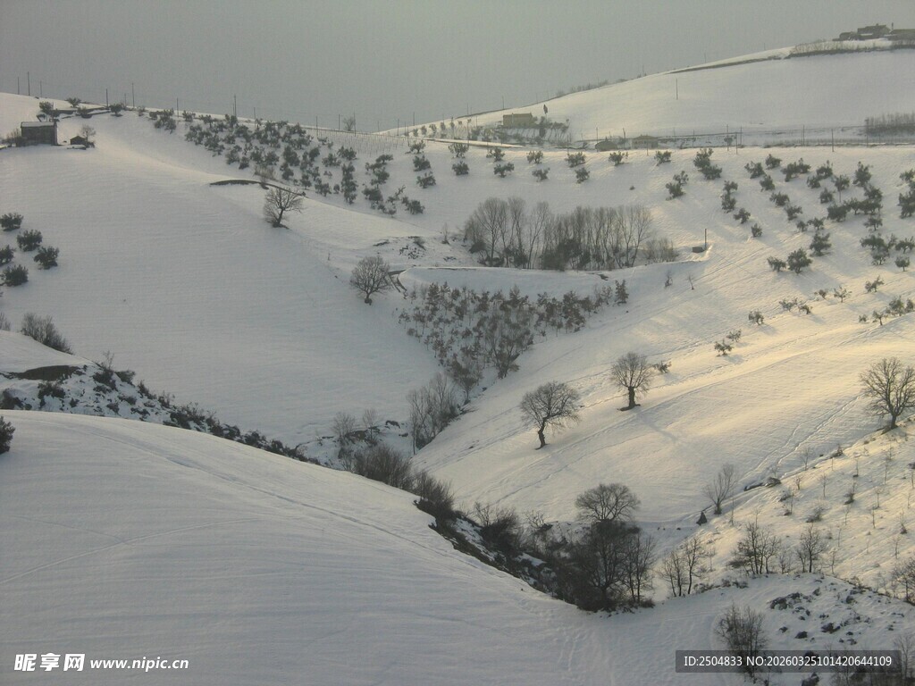 冬日雪景中的静谧山丘