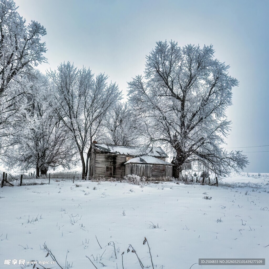 雪覆村庄 静谧冬日景象