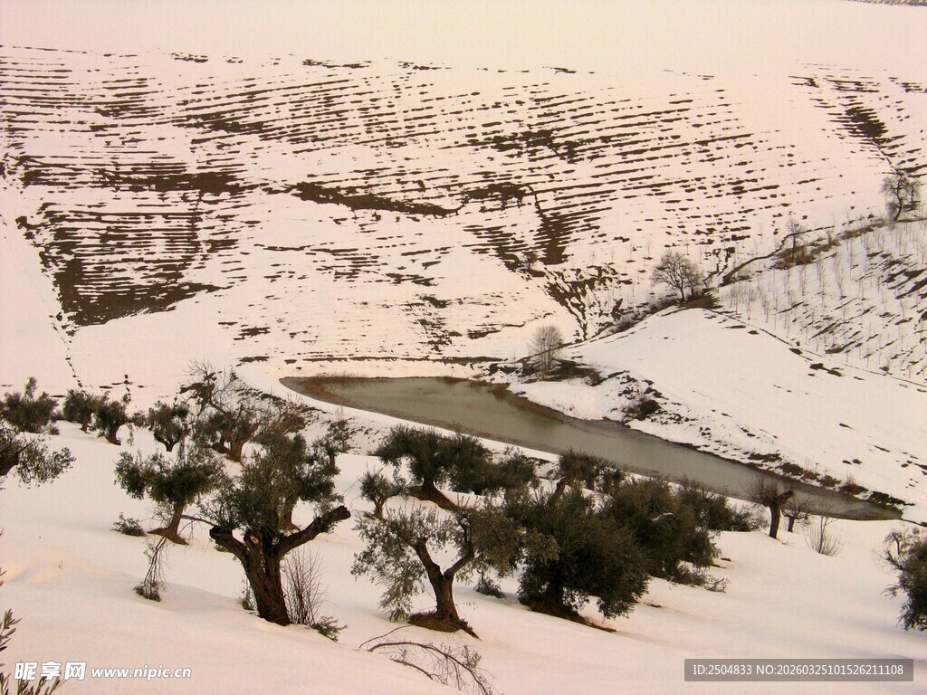 雪覆山丘间的静谧景致