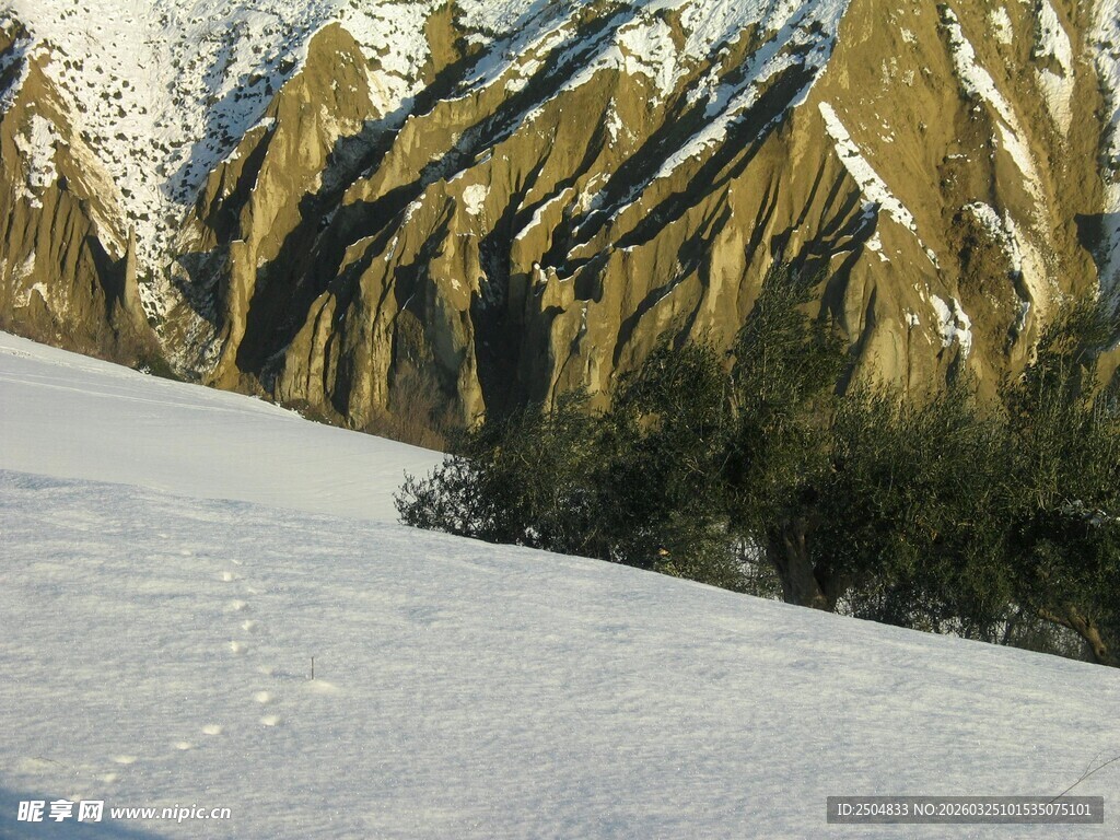 雪山与植被交织的美丽景致
