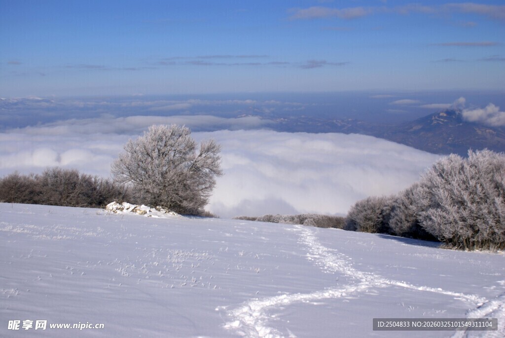 雪岭云海美景