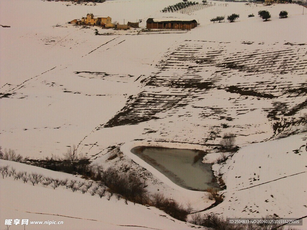 雪地中错落的黑色痕迹