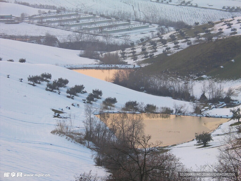 冬日雪景中的宁静村落