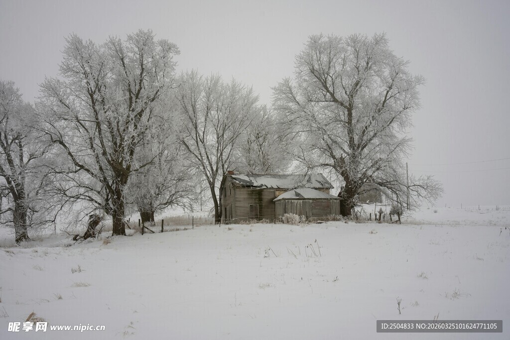 雪覆乡村景象