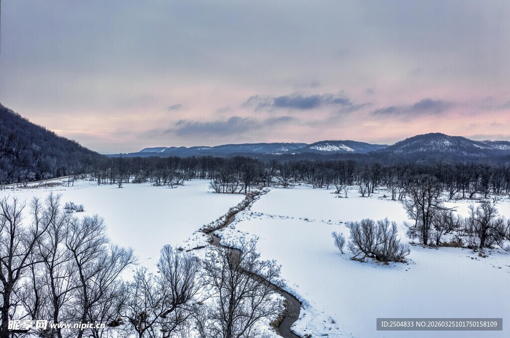 冬日雪景中的宁静旷野