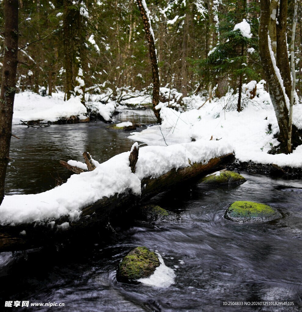 冬日雪覆溪流林间美景