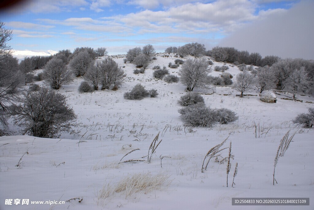 雪覆荒野景观