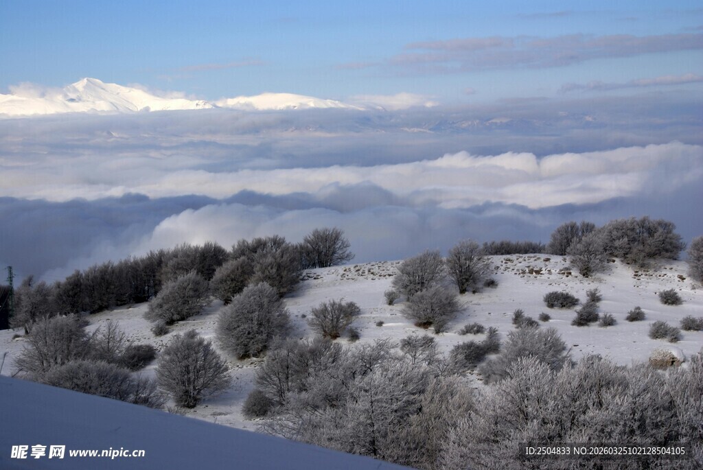 雪覆山林与远处雪山美景