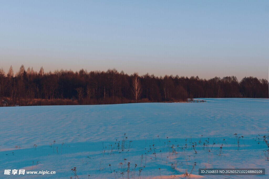 冬日冰封湖面的静谧景象
