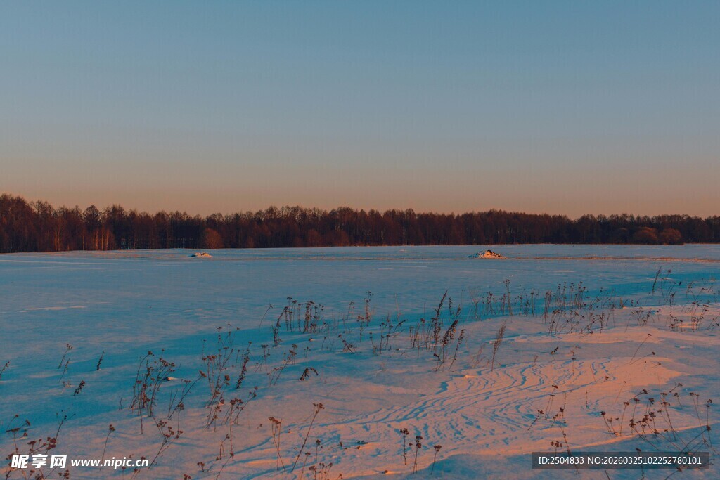 冬日雪野的静谧风光