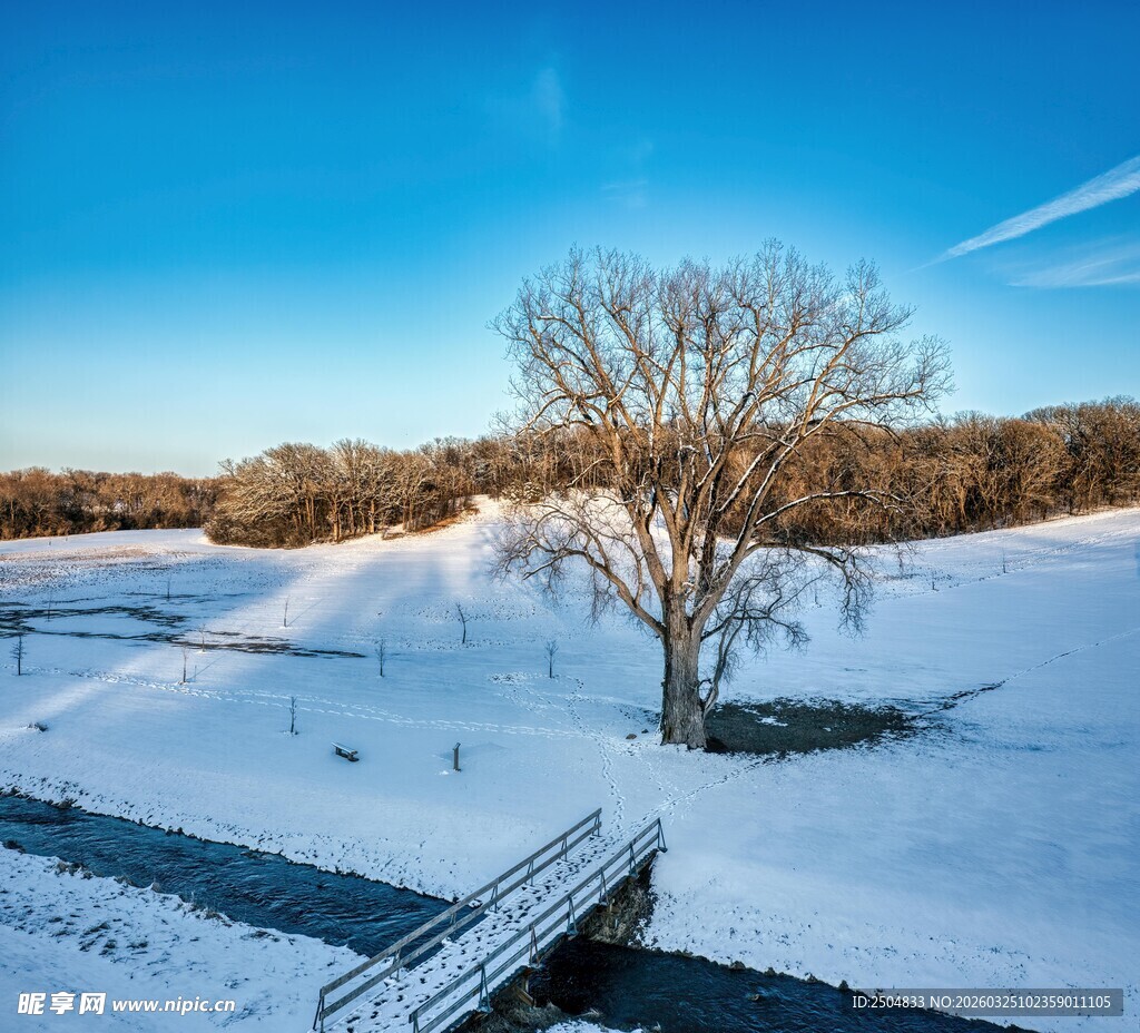 冬日雪景中的孤树与长椅