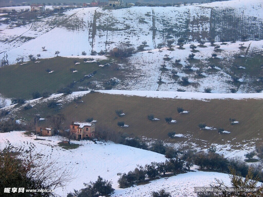 冬日雪覆乡村景象
