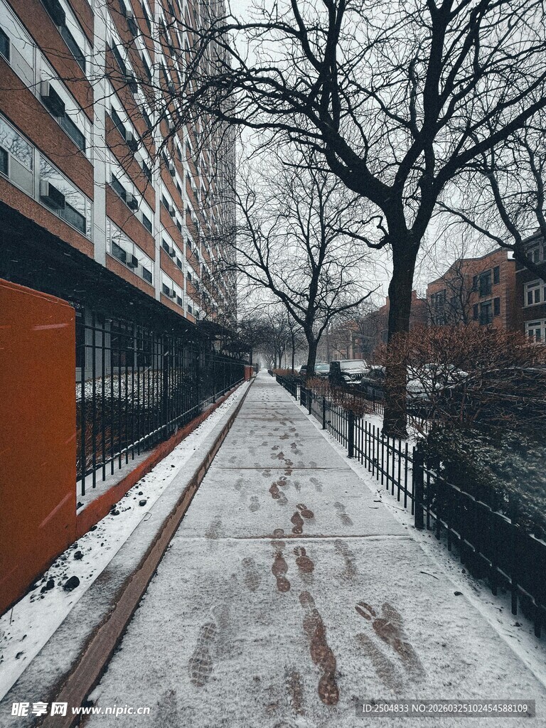 冬日积雪覆盖的城市街道