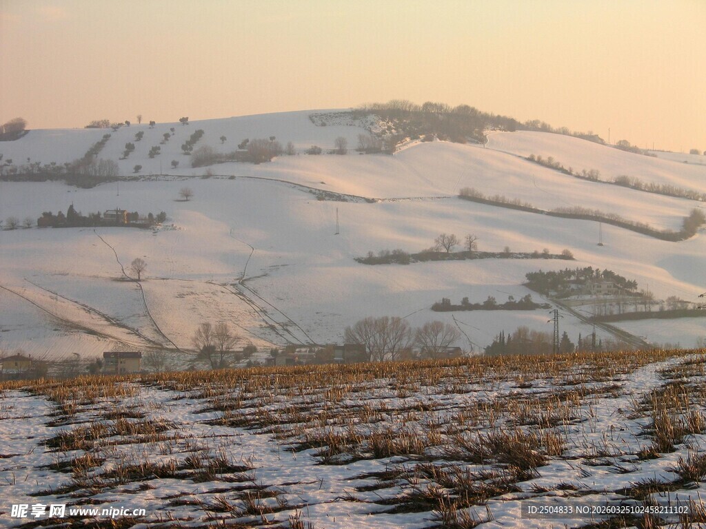 冬日雪覆田野美景