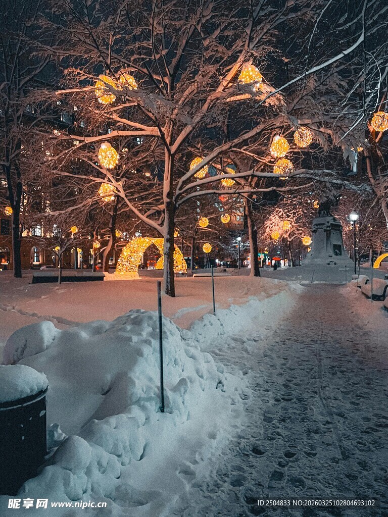 雪夜中灯光装点的树木景观