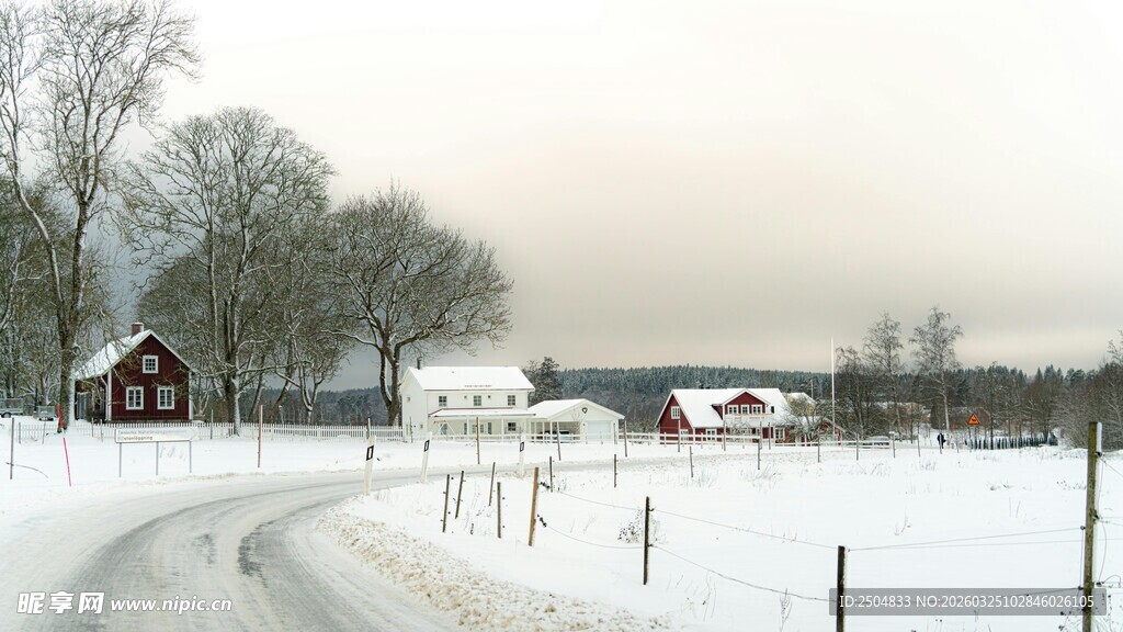 冬日雪中小路乡村景象