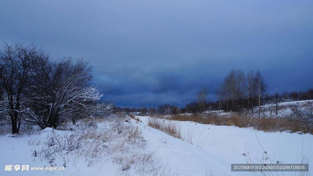 冬日雪景中的寂静旷野