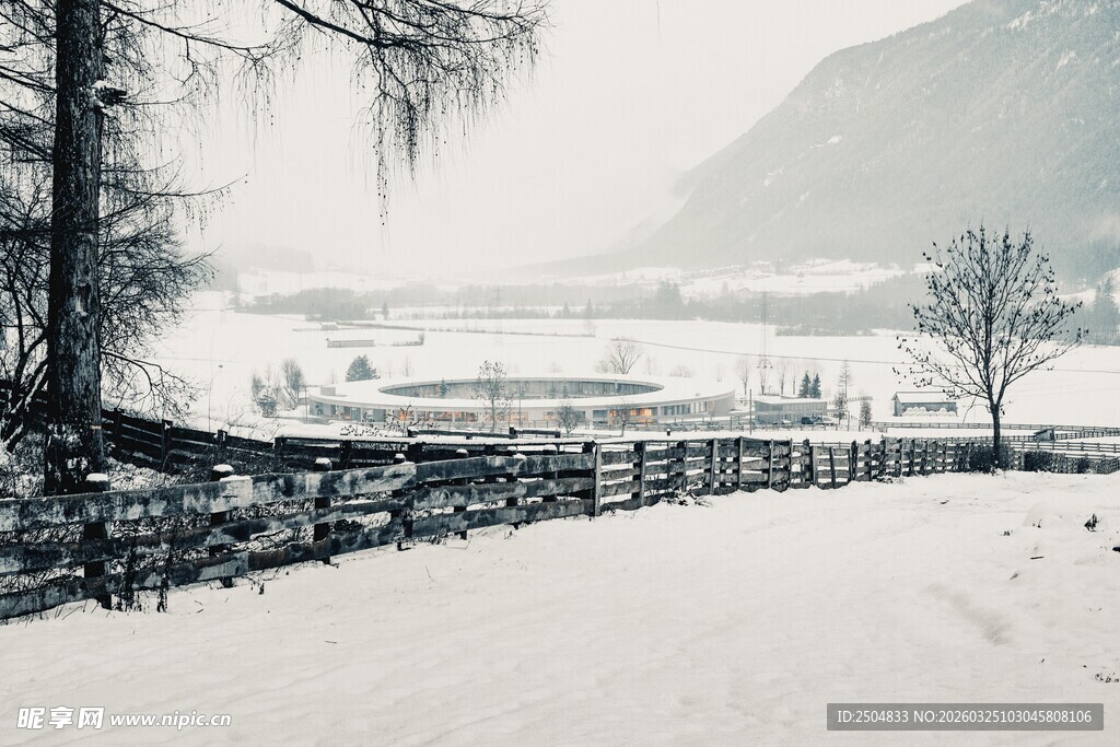 冬日雪景中的宁静乡村小道