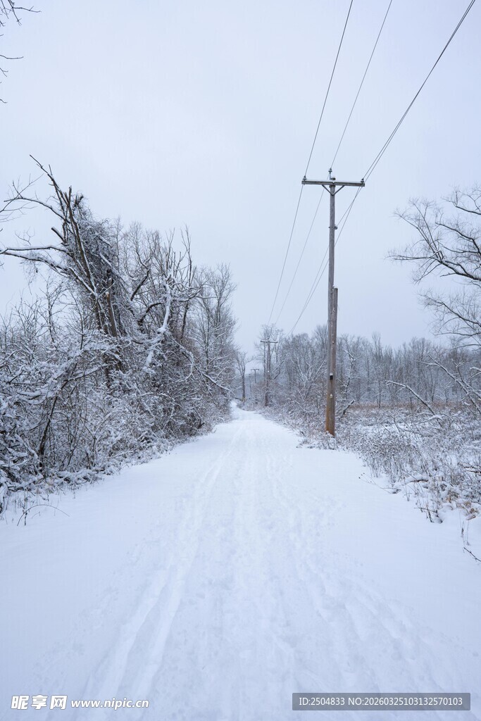 冬日雪覆小路的静谧景象