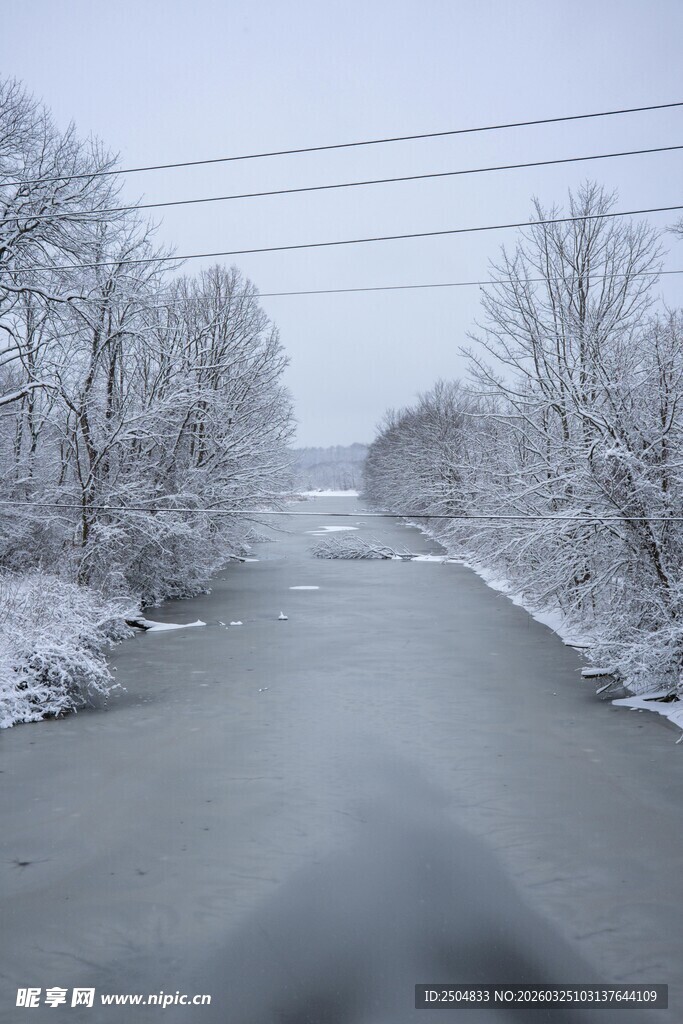 冬日雪景中的宁静道路
