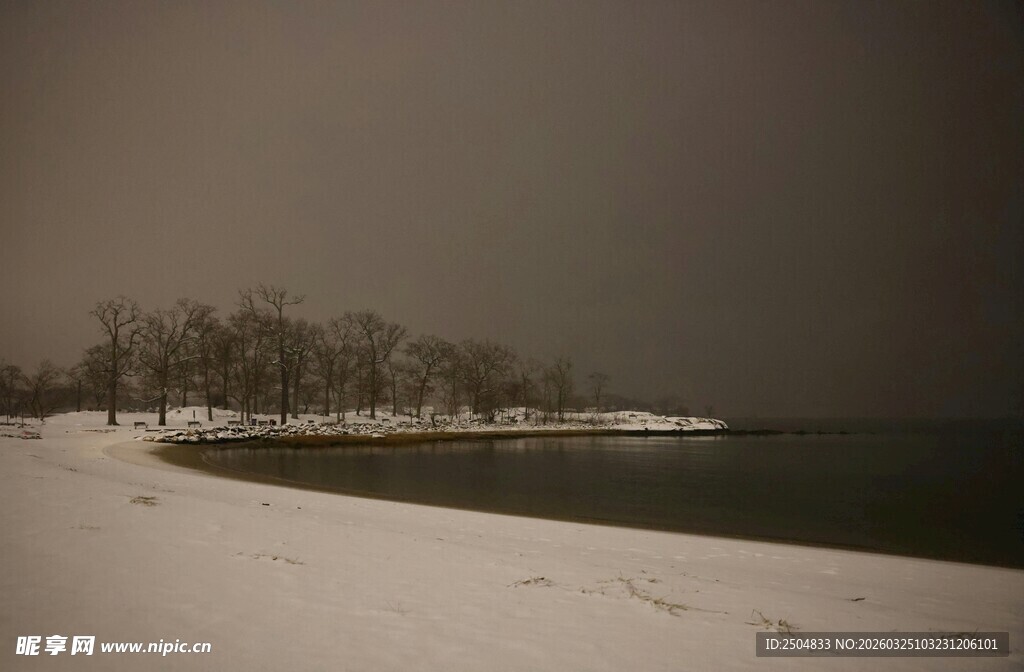 冬日雪覆岸边静谧景象