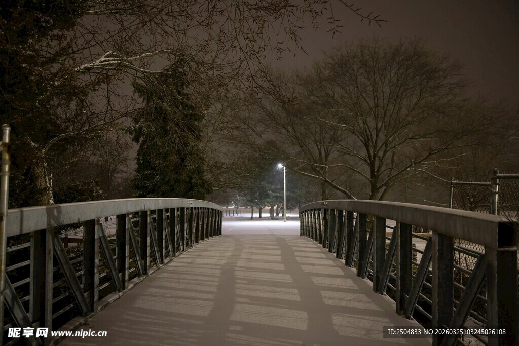 雪夜中的静谧桥梁