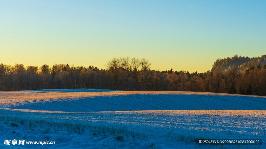冬日旷野的静谧黄昏景色
