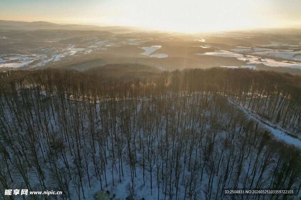 冬日林海日出壮丽景观