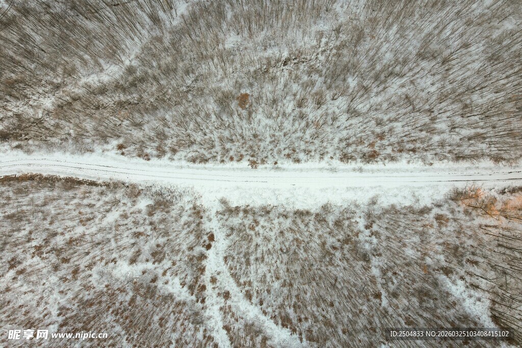 冬日雪覆树林中的蜿蜒小路