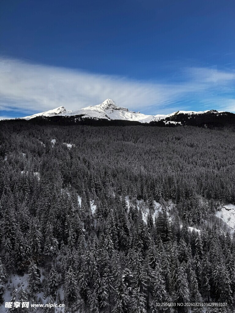 雪覆山林与远山壮丽景致