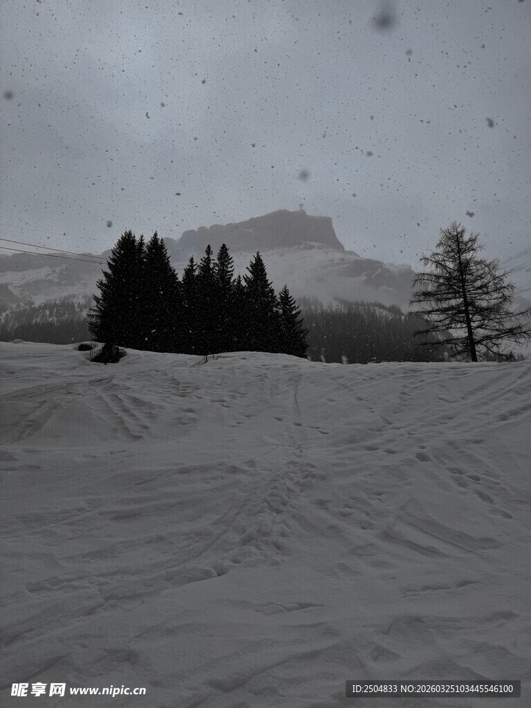 雪地山林中的冬日景象