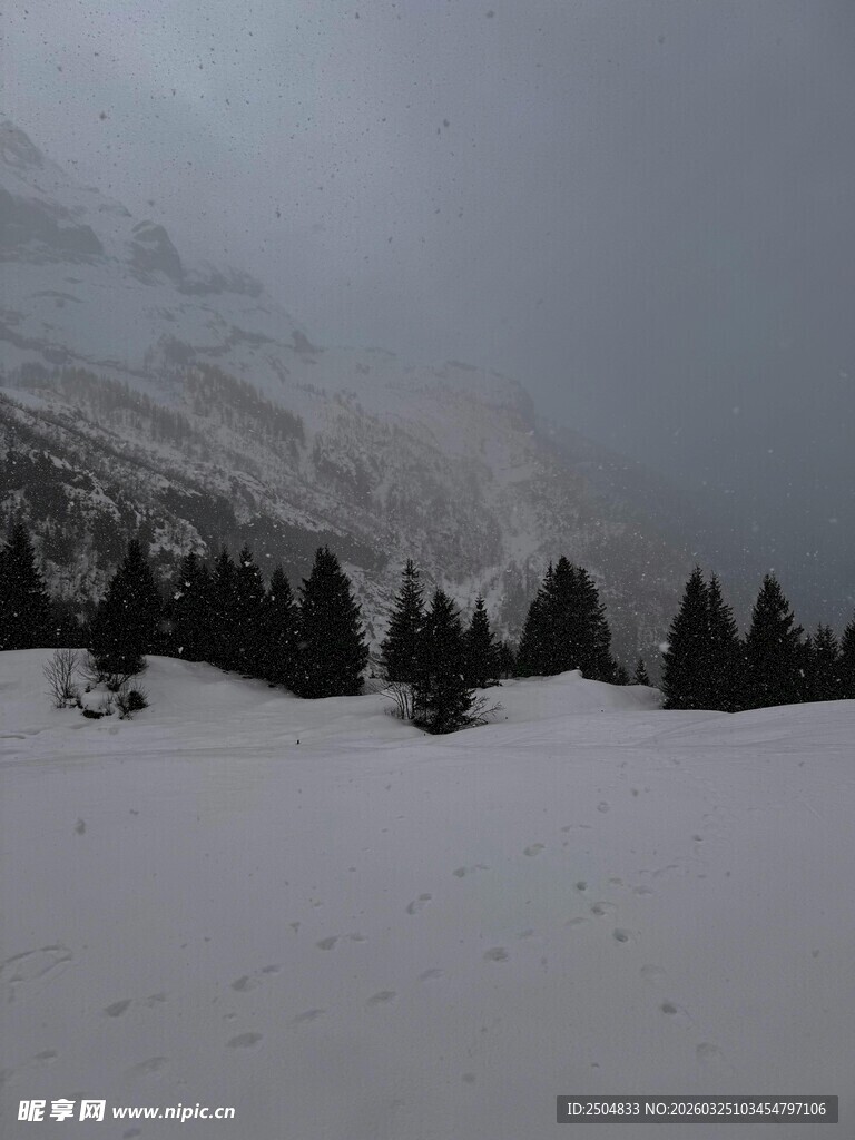 雪覆山林 云雾中的静谧景致