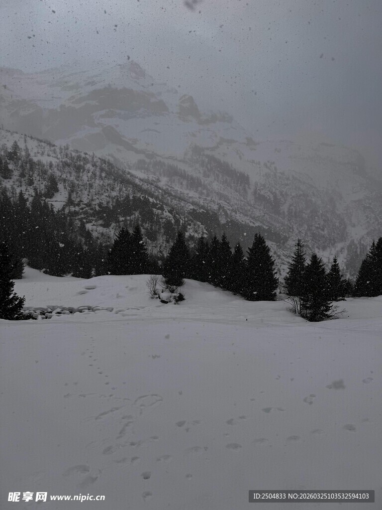 冬日雪景中的山林景观