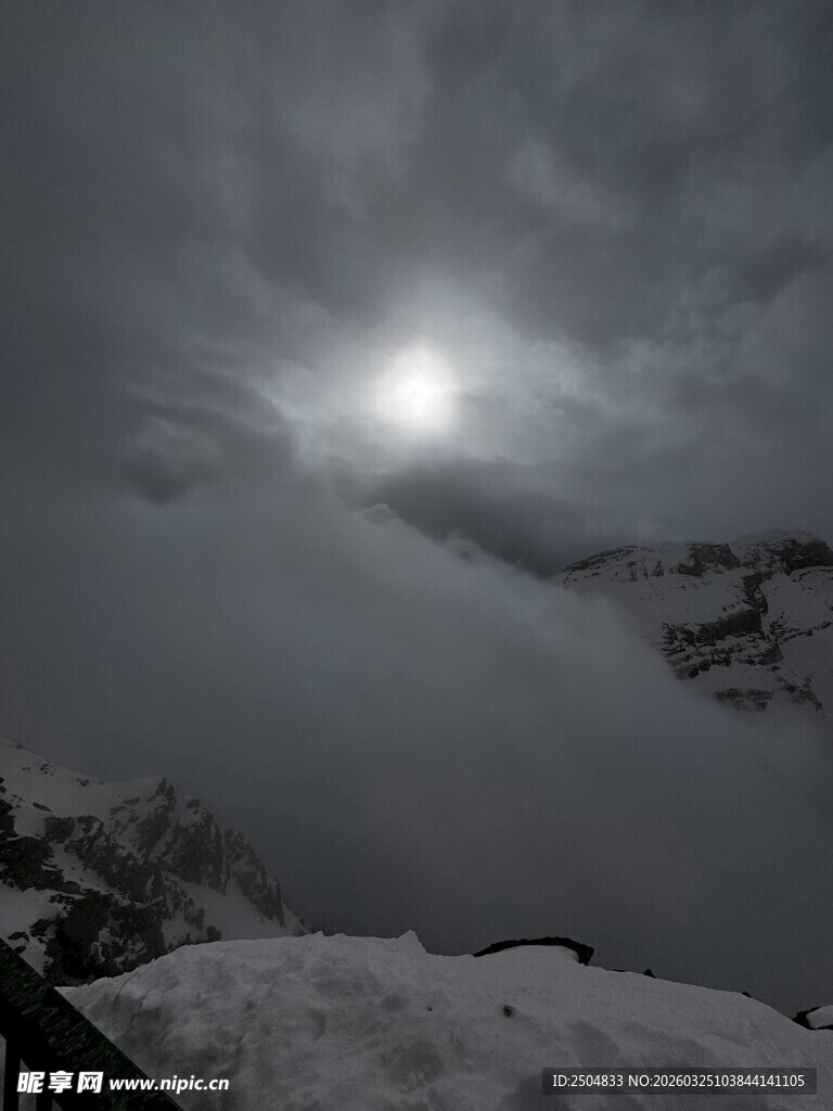 雪夜月光下的朦胧景象