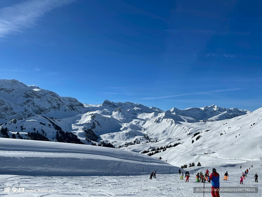 雪山下的欢乐滑雪场景
